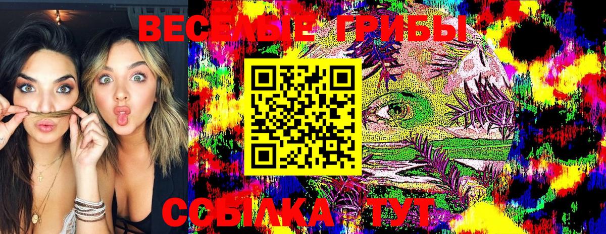 наркотики  Вход с VPN  Кызыл  Псилоцибиновые грибы Cubensis 
